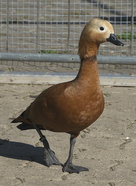 身上