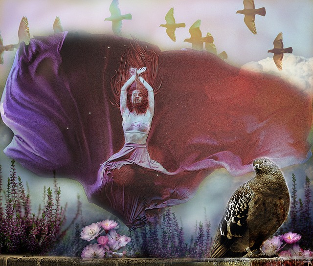 視的亮點在 視的亮點在